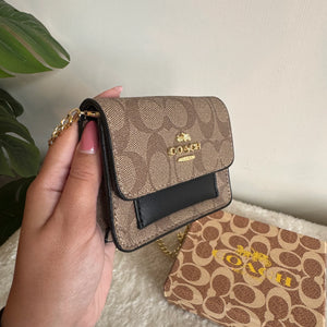 Coach Wallet with Detachable Long Chain - Brown