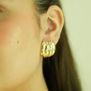 Shell Gold Earrings