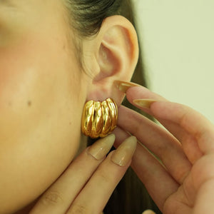 Shell Gold Earrings