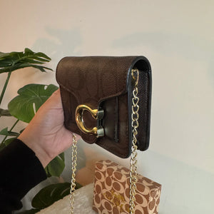 Coach Signature Wallet with Detachable Long Chain - Brown