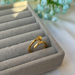 Stainless steel nail ring